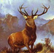 Sir edwin henry landseer,R.A. Monarch of the Glen by Sir Edwin Landseer oil on canvas